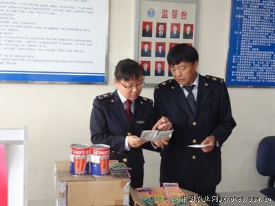 结球甘蓝市场行情